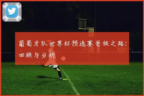葡萄牙队世界杯预选赛晋级之路:回顾与分析