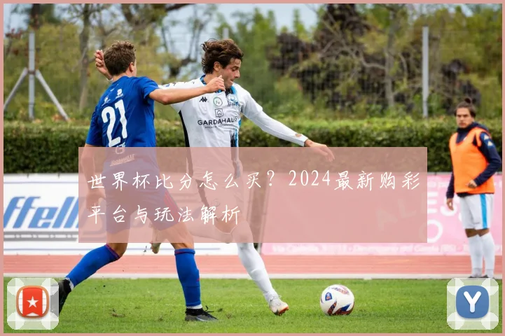 世界杯比分怎么买?2024最新购彩平台与玩法解析