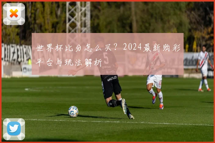 世界杯比分怎么买?2024最新购彩平台与玩法解析