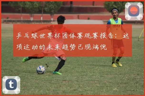 乒乓球世界杯团体赛观赛报告：这项运动的未来趋势已现端倪