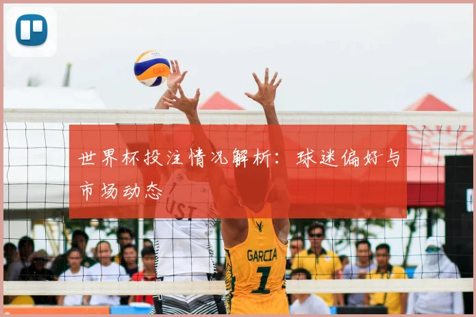 世界杯投注情况解析:球迷偏好与市场动态